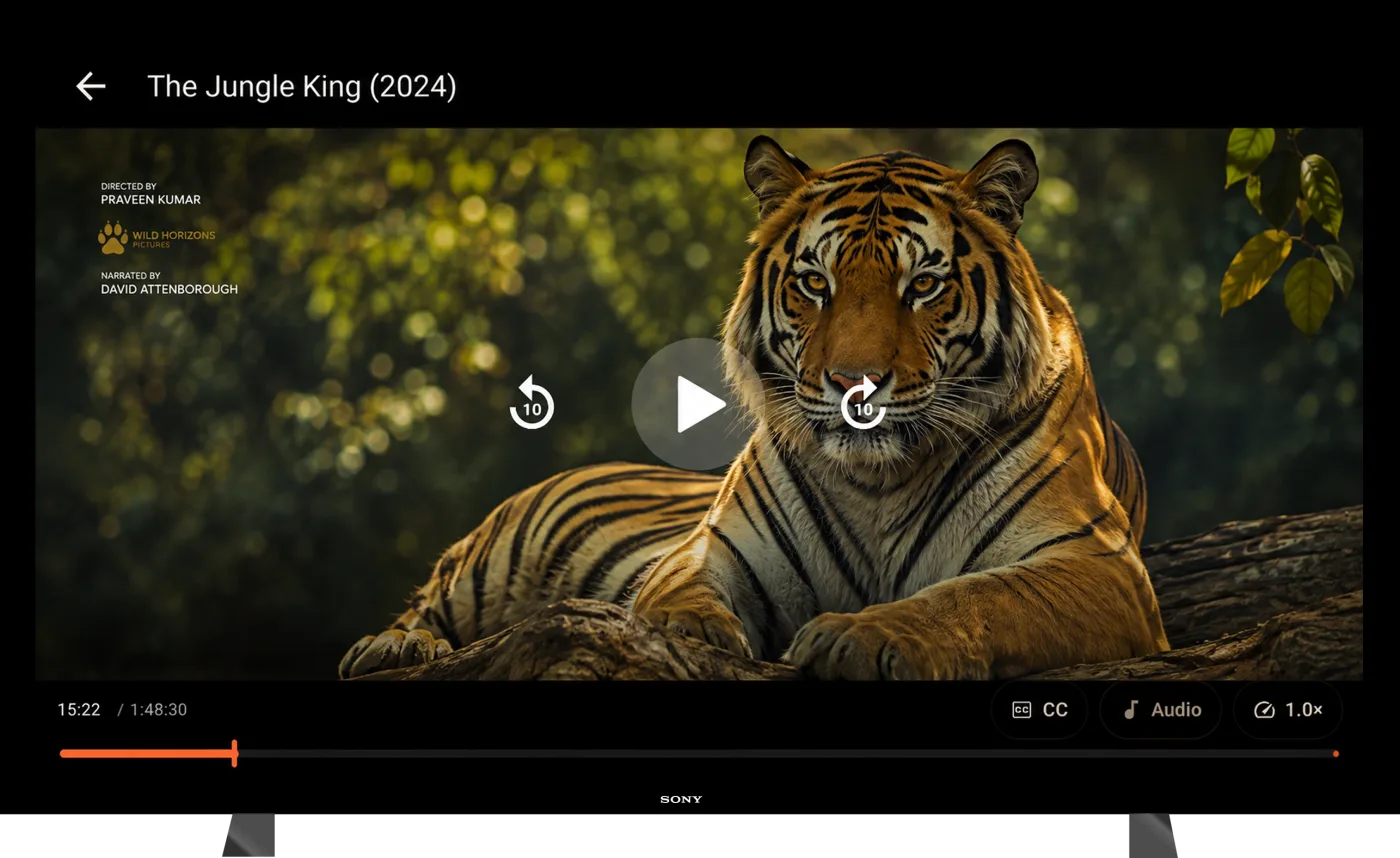 TV — full-screen video playback with the resume and skip controls